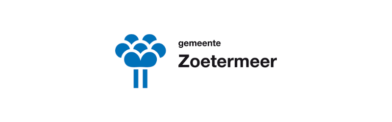 Consulent Toeslagenaffaire