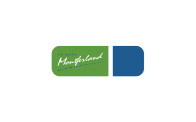 Financieel Adviseur Sociaal Domein