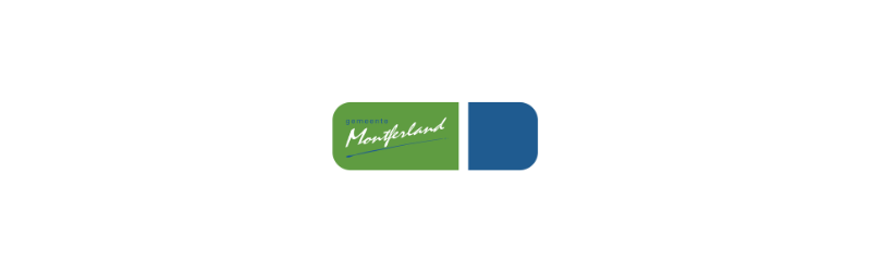 Financieel Adviseur Sociaal Domein