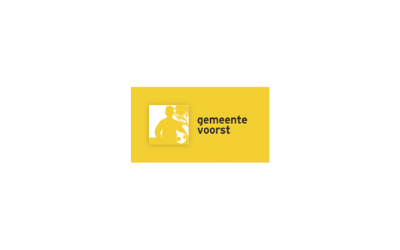 Consulent inkomen
