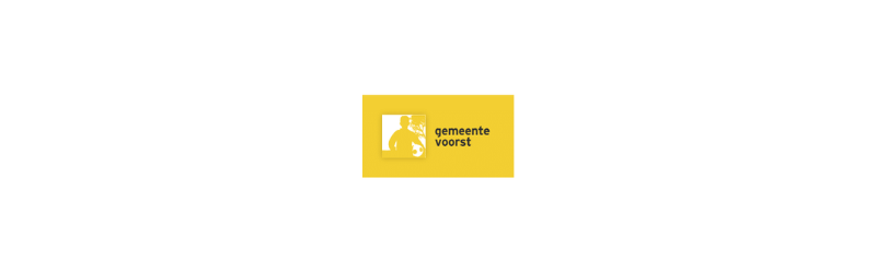 Consulent inkomen