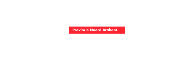 Beleidsmedewerker/leeradviseur digitale transformatie - ZZP mogelijk