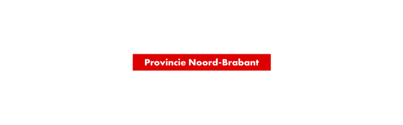 Senior Informatieadviseur Identity and Access Management